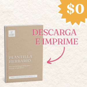 Plantilla de herbario descargable | Registra tus flores con nombre, día y origen