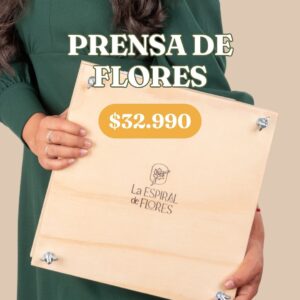 Prensa para flores de madera 30x30cm | Tu primera prensa floral